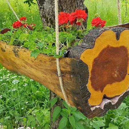 Çiftlik konaklama Pensiunea Agroturistica Cerna, Vaideeni, Valcea Vaideeni